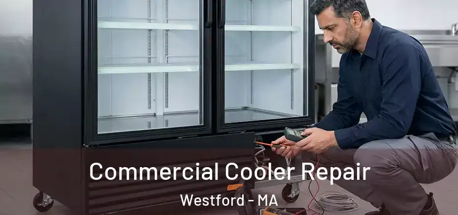  Commercial Cooler Repair Westford - MA