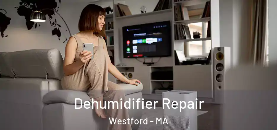 Dehumidifier Repair Westford - MA