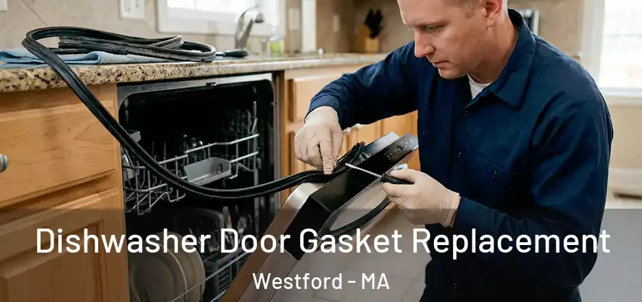 Dishwasher Door Gasket Replacement Westford - MA