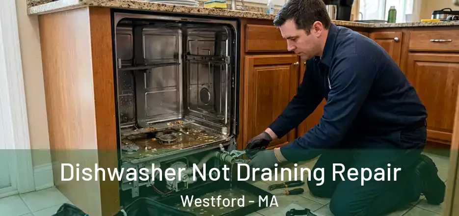  Dishwasher Not Draining Repair Westford - MA
