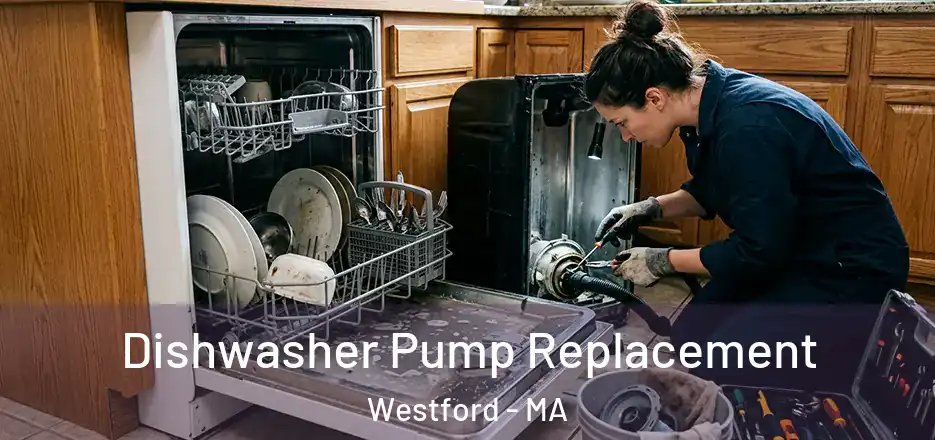  Dishwasher Pump Replacement Westford - MA
