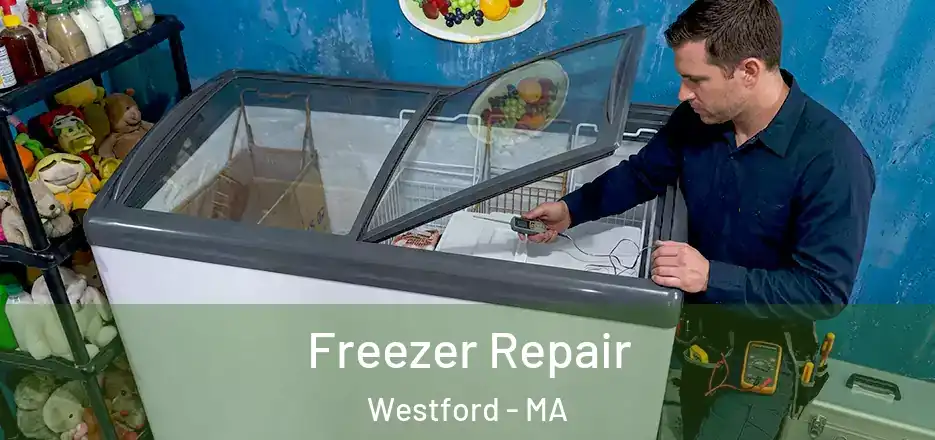 Freezer Repair Westford - MA