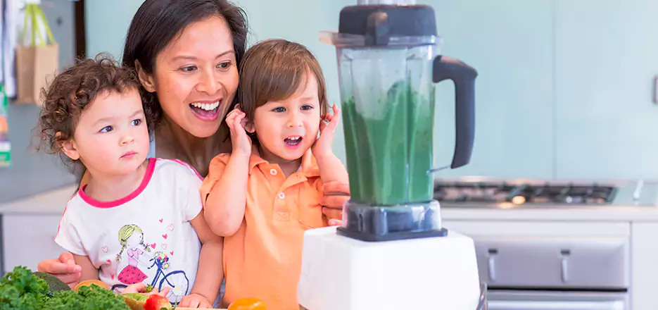 Juicer and Mixer Blender Repair in Westford