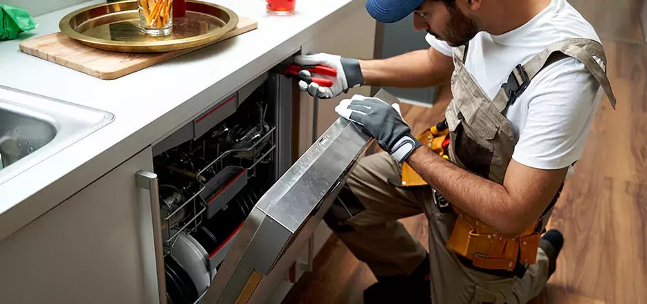 Same Day Dishwasher Not Draining Repair in Westford