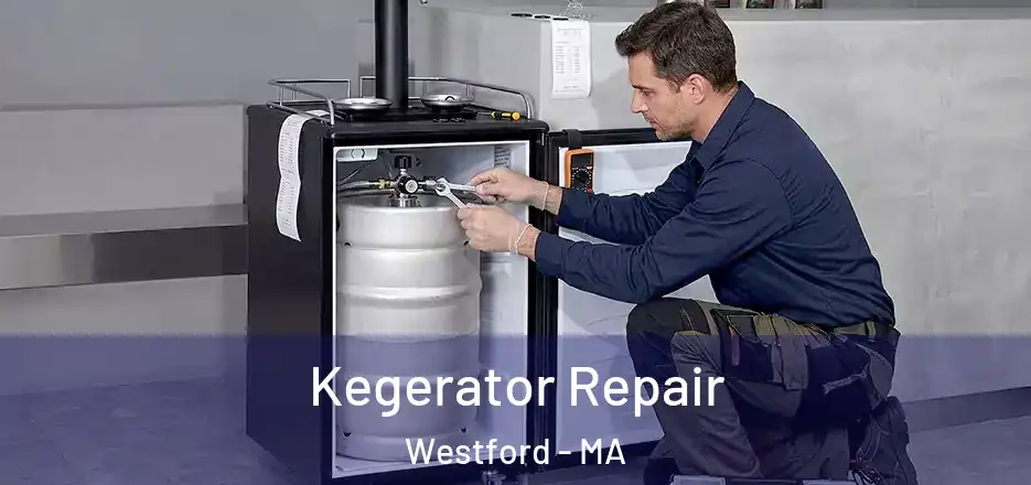  Kegerator Repair Westford - MA