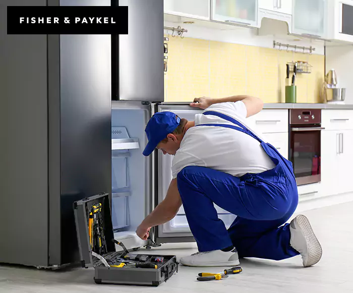 Top-Rated Fisher & Paykel Appliance Experts: Your Brand Specialist in Westford, MA