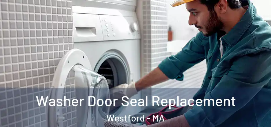Washer Door Seal Replacement Westford - MA
